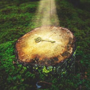 Mental Balancepakken